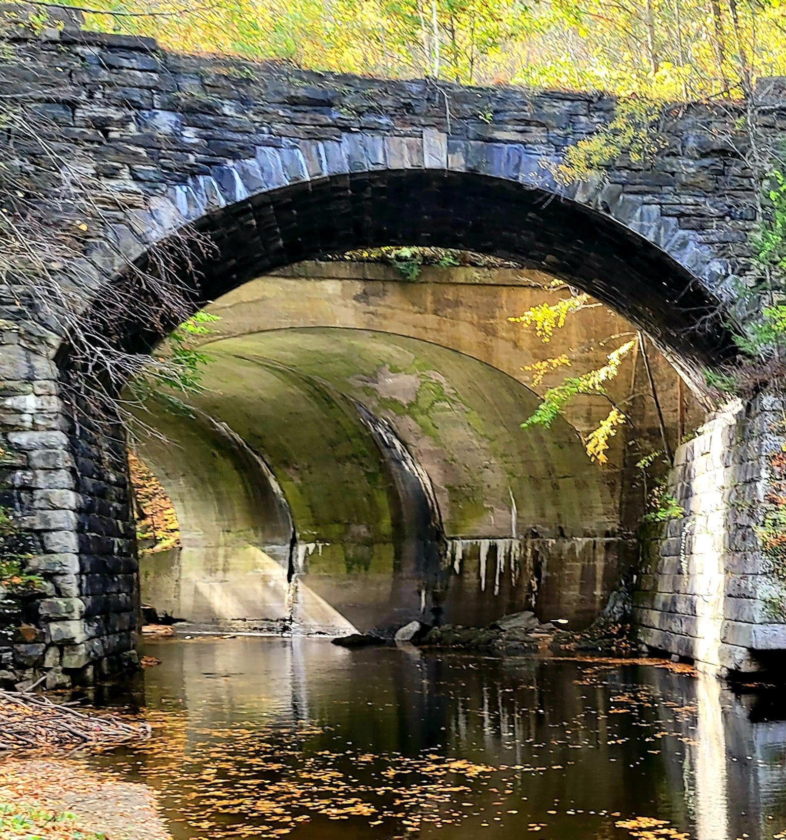 20211016_143921101157175649099