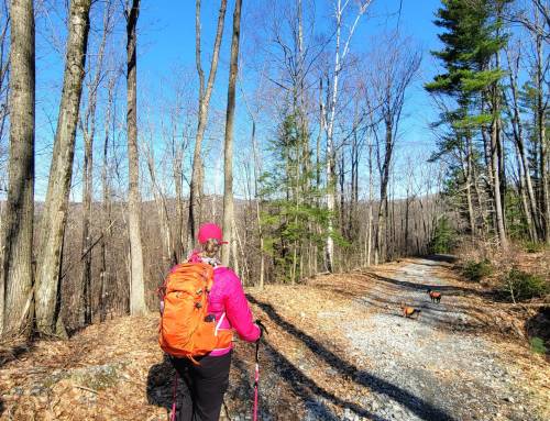 Chester Blandford State Forest Loop from Beulah Land