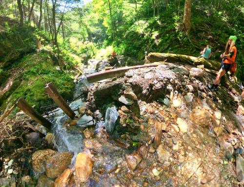 Twin Cascade Dam in Florida
