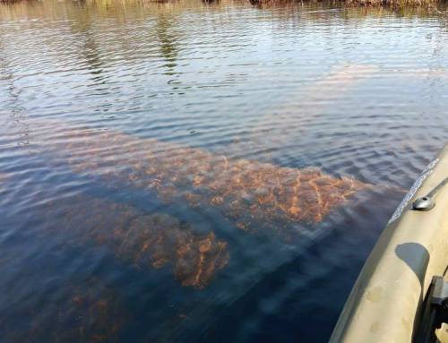 Pontoosuc Turnpike Bridge