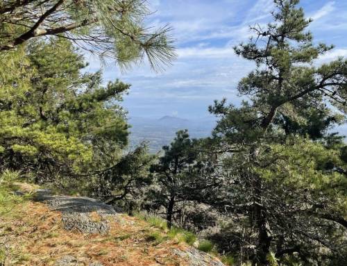 Mount Bushnell and Jug End Appalachian Trail