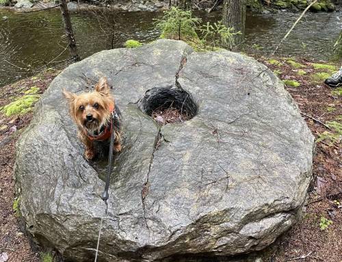 Captain Allen’s Grinding Stone Windsor