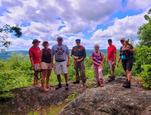 Pinnacle Trail in Chesterfield