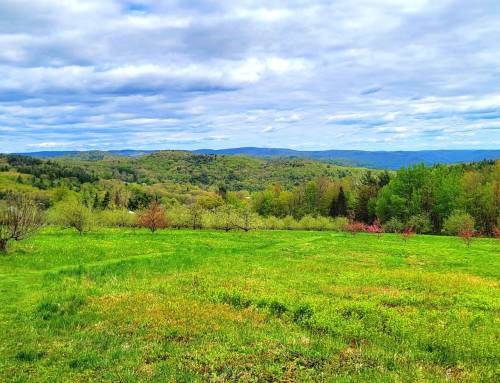 Orchard View in Ashfield