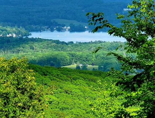 Pittsfield State Forest Lulu to Turner Trail