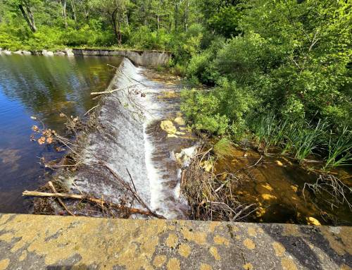 Mauserts Pond Dam