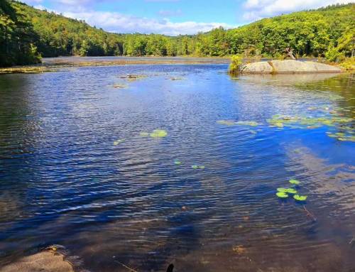 McLeod Pond in Colrain