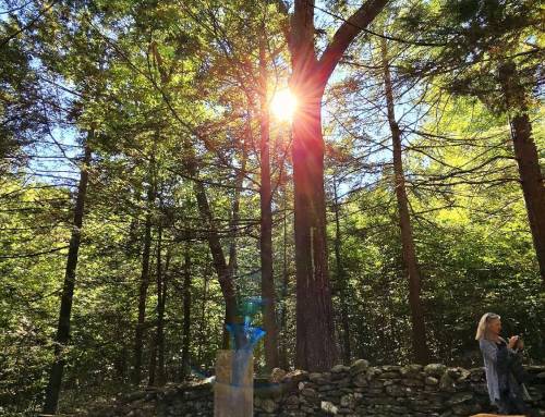 Harris Burial Ground in Chester