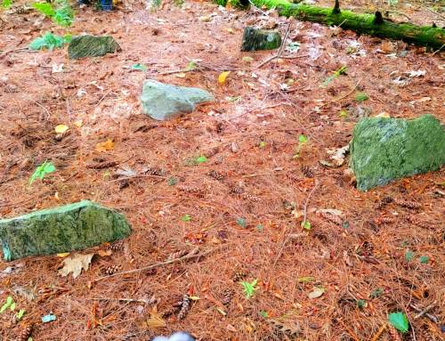 Elwell Burial Ground Goose Pond Causeway