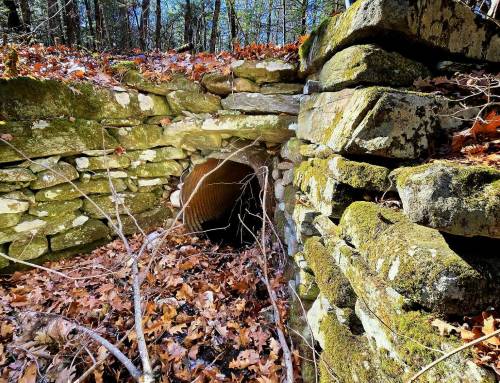 Finnerty Trail Becket