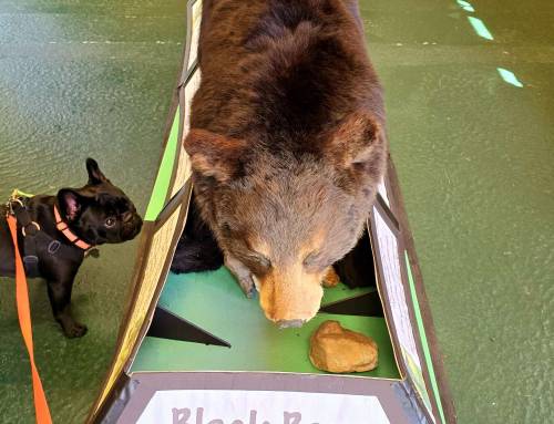 Clarksburg Nature Center