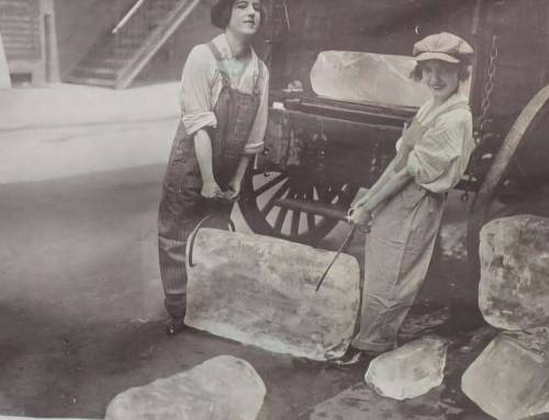 Mauserts Pond in Clarksburg