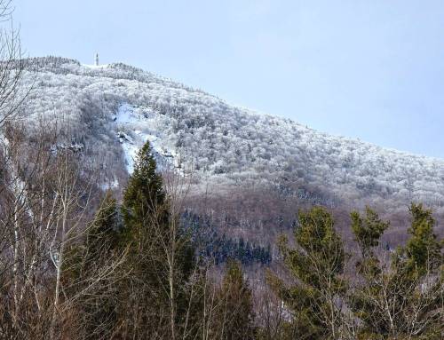 Gould Connector and the Greylock Glen