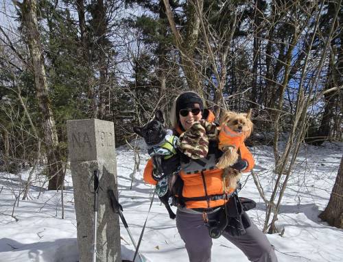 Rockwell Road to Rounds Rock at Mount Greylock
