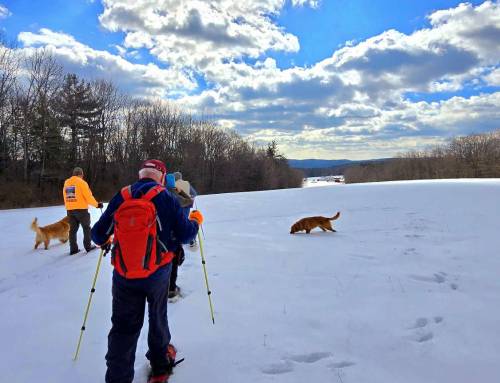 Blandford Knittel Conservation Area