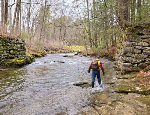 Goodnow Preserve in New Marlborough
