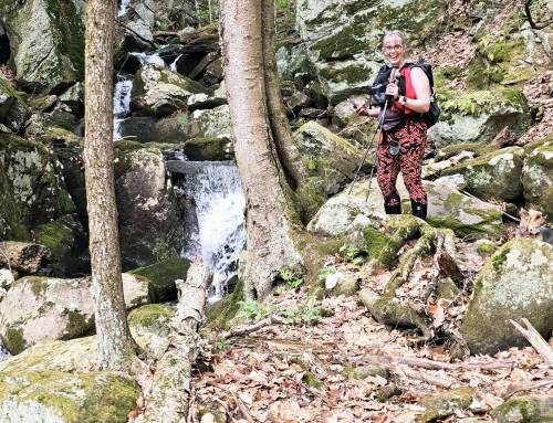 Schermerhorn Gorge at October Mountain State Forest