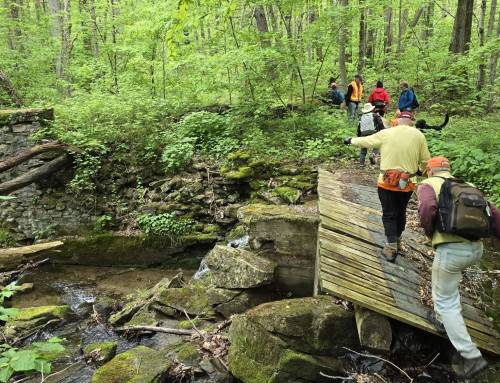 Knox Trail Monterey with Rob Hoogs