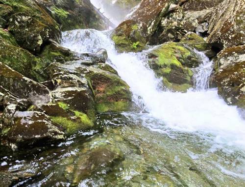 Upper Race Brook Falls at Mount Everett State Forest