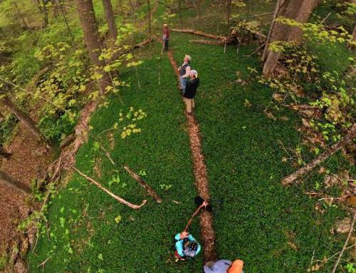 Hallockville Mills in Hawley