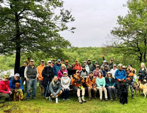 Pittsfield State Forest Azaleas Group Hike