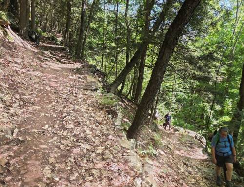 Tom Ball Mountain in Alford