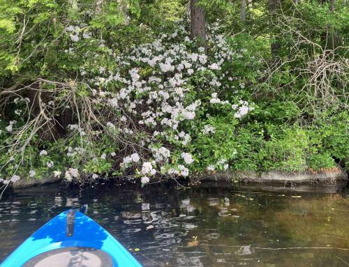 Plainfield Pond Paddle