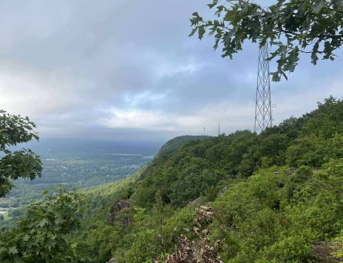 Mount Tom State Reservation