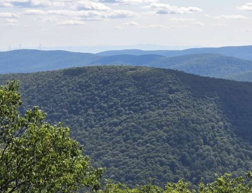 Fitch Overlook at Mount Greylock State Reservation