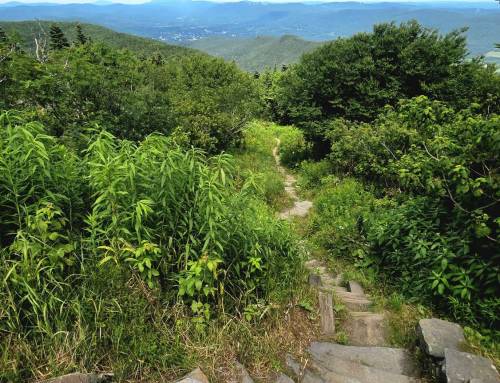 Thoreau Hike on Bellows Pipe with DCR Interpretive Coordinator Mike Whalen