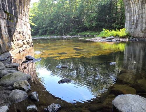 Summer at the Keystone Double Arch