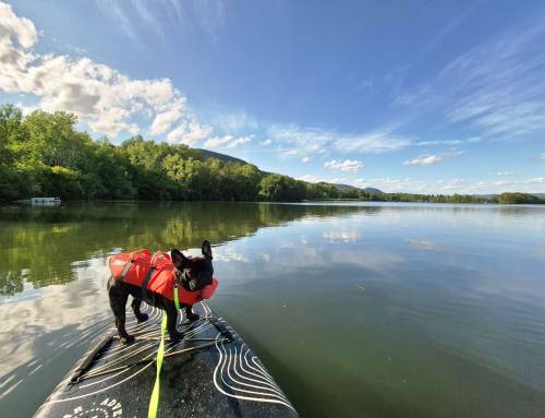 Cheshire Reservoir Paddle