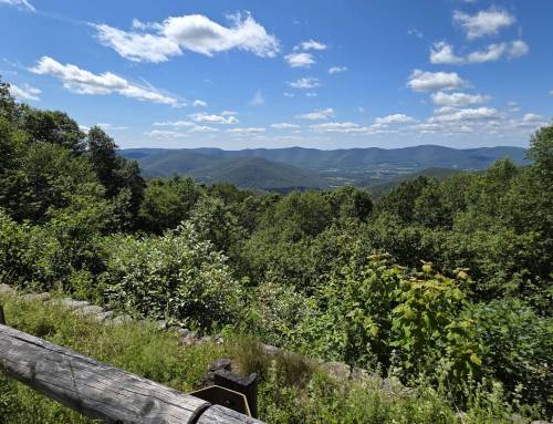 New Ashford Overlook