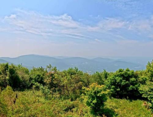 Taconic Crest Trail Pownal, VT