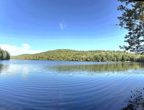 Lower Spectacle Pond Paddle