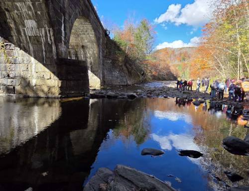 Whistlers Cathedrals Group Hike