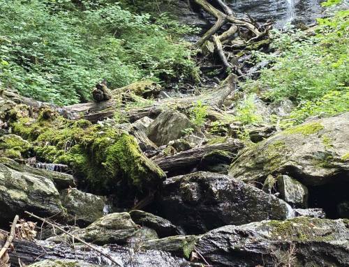 Money Brook Trail Williamstown