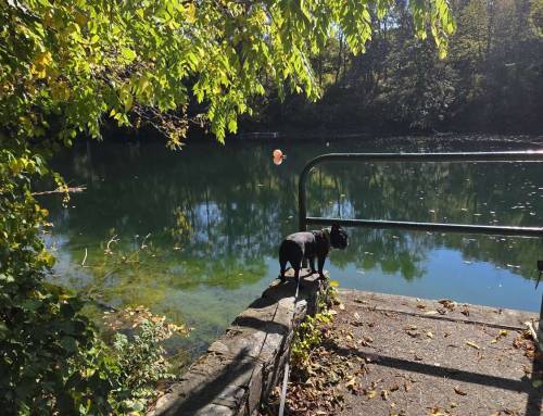 Ore Pit Pond Copake Falls