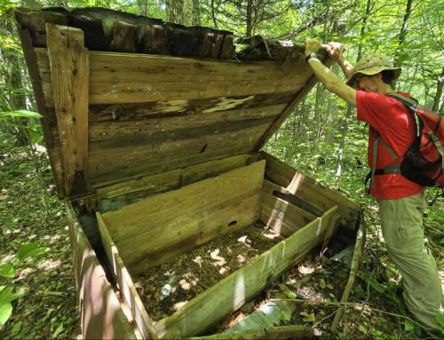CCC Dynamite Trail at Mount Greylock