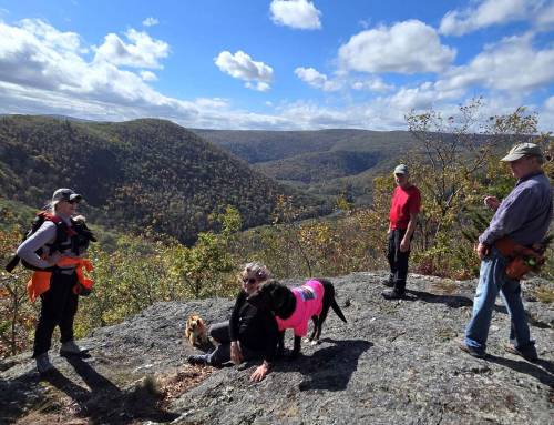 Fife Brook Overlook