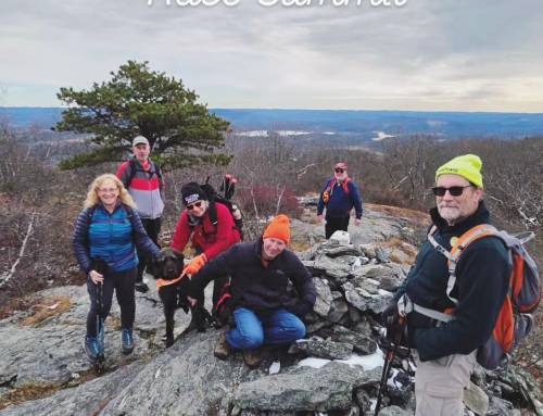 Mount Race Summit Mount Everett State Reservation