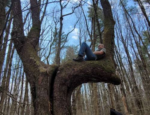 Dry Hill in New Marlborough