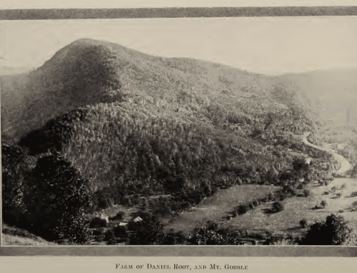 The Root Farm in Middlefield