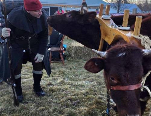 Blandford Knox 250th