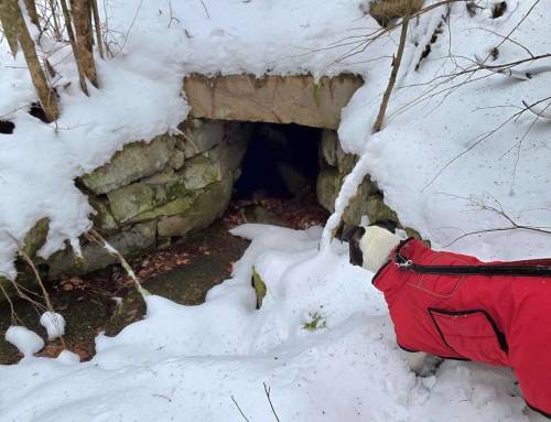 Skiing on the Chester and Becket Railroad