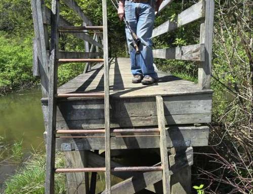 Sheffield Appalachian Trail