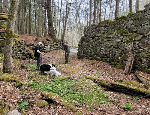 Lower Carroll Paper Mill
