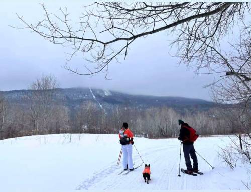 Skiing and Snowshoe at the Glen