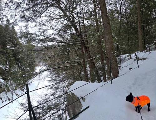 East Branch Trail Group Hike