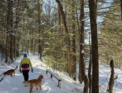 Granville State Forest